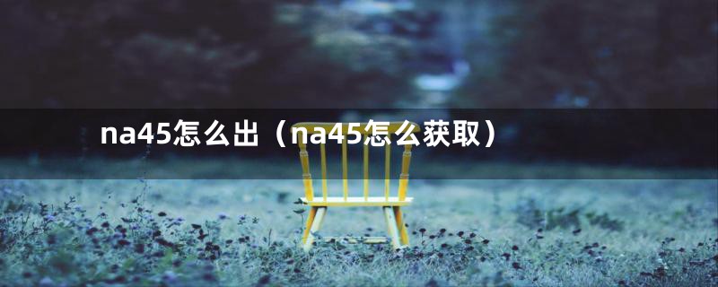 na45怎么出（na45怎么获取）