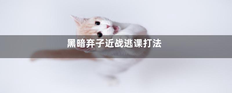 黑暗弃子近战逃课打法