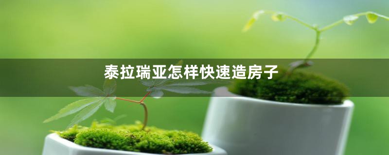 泰拉瑞亚怎样快速造房子