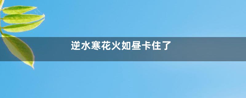 逆水寒花火如昼卡住了