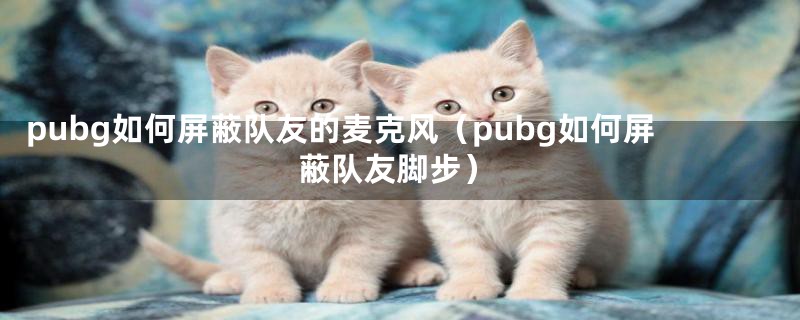 pubg如何屏蔽队友的麦克风（pubg如何屏蔽队友脚步）