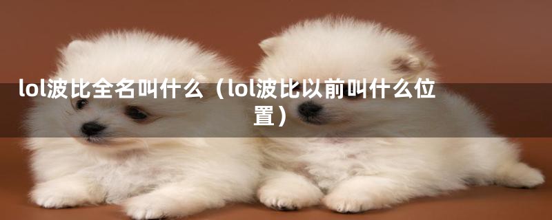 lol波比全名叫什么（lol波比以前叫什么位置）