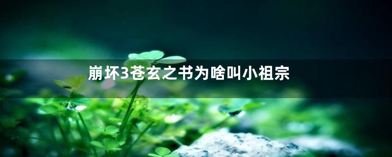 崩坏3苍玄之书为啥叫小祖宗