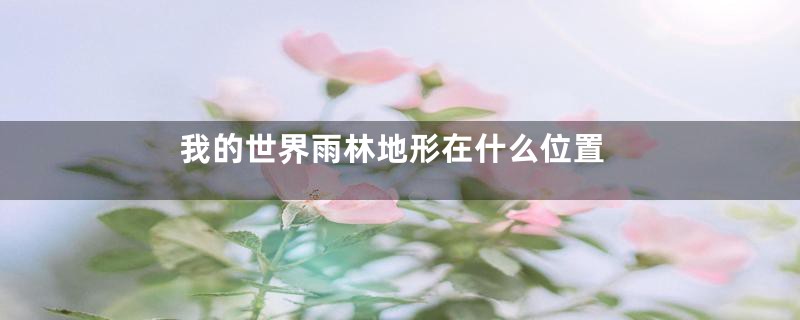 我的世界雨林地形在什么位置