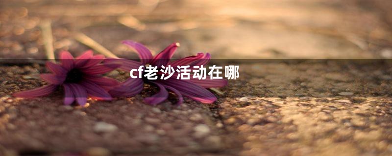 cf老沙活动在哪