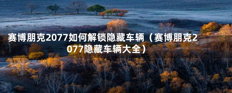 赛博朋克2077如何解锁隐藏车辆（赛博朋克2077隐藏车辆大全）