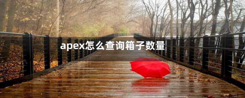 apex怎么查询箱子数量