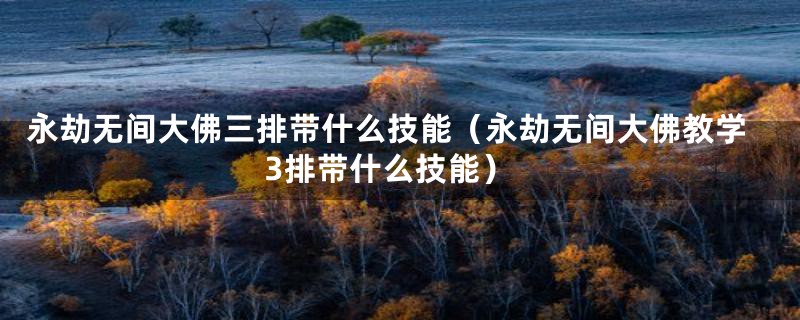 永劫无间大佛三排带什么技能（永劫无间大佛教学3排带什么技能）