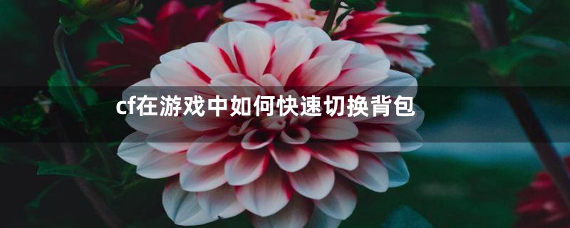 cf在游戏中如何快速切换背包