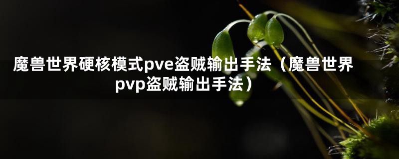 魔兽世界硬核模式pve盗贼输出手法（魔兽世界pvp盗贼输出手法）