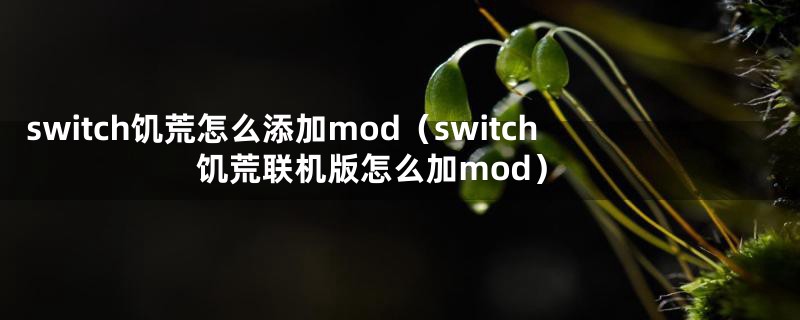 switch饥荒怎么添加mod（switch饥荒联机版怎么加mod）