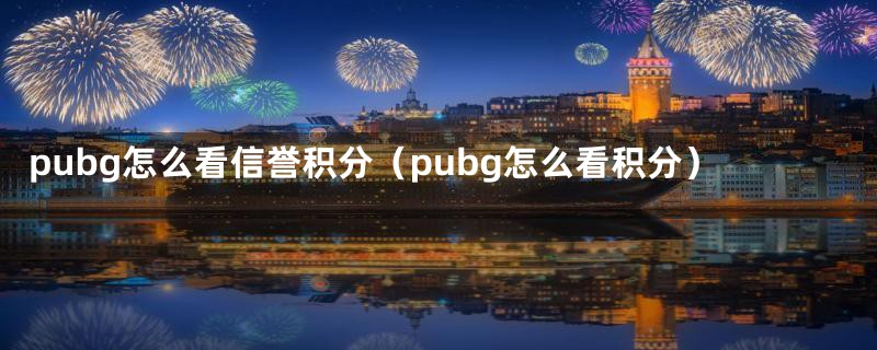 pubg怎么看信誉积分（pubg怎么看积分）