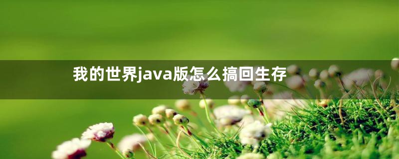 我的世界java版怎么搞回生存