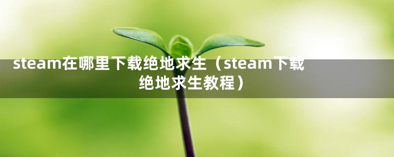 steam在哪里下载绝地求生（steam下载绝地求生教程）