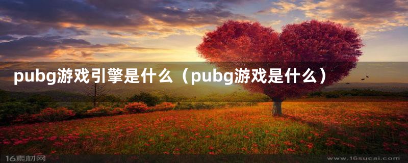 pubg游戏引擎是什么（pubg游戏是什么）