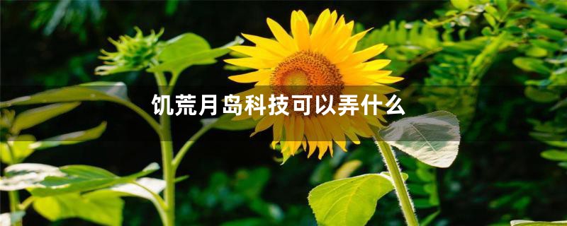 饥荒月岛科技可以弄什么