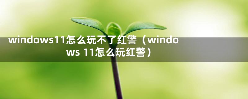 windows11怎么玩不了红警（windows 11怎么玩红警）