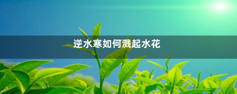 逆水寒如何溅起水花