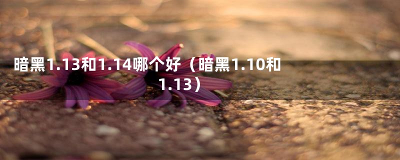 暗黑1.13和1.14哪个好（暗黑1.10和1.13）