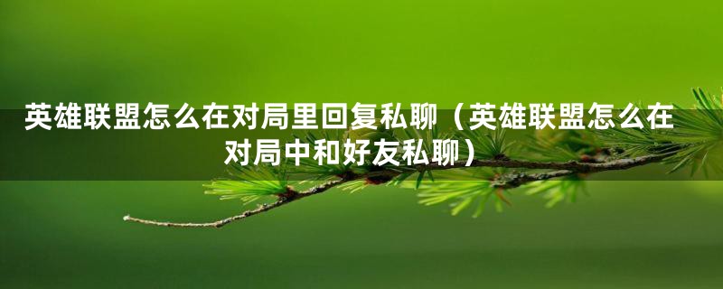 英雄联盟怎么在对局里回复私聊（英雄联盟怎么在对局中和好友私聊）