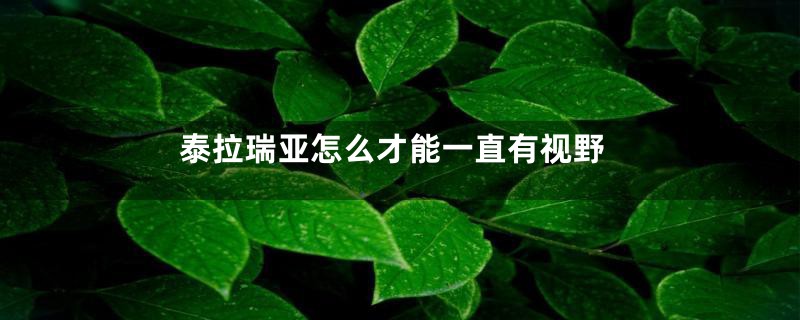 泰拉瑞亚怎么才能一直有视野