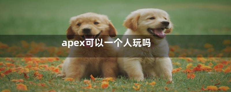 apex可以一个人玩吗