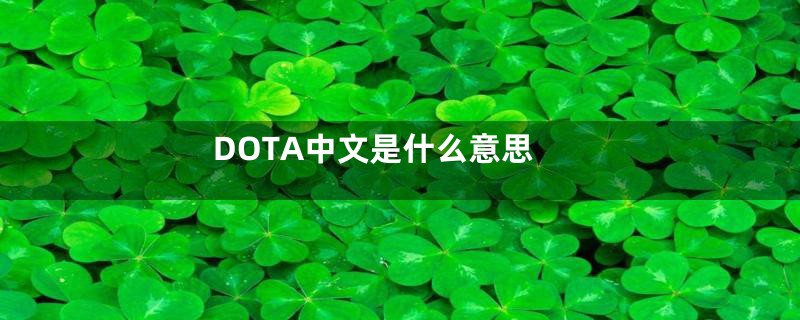 DOTA中文是什么意思