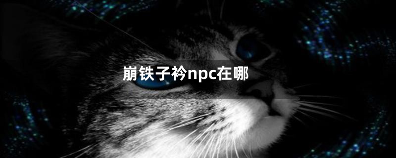 崩铁子衿npc在哪