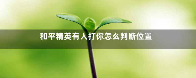 和平精英有人打你怎么判断位置