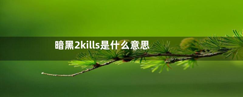 暗黑2kills是什么意思