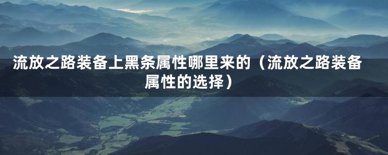 流放之路装备上黑条属性哪里来的（流放之路装备属性的选择）