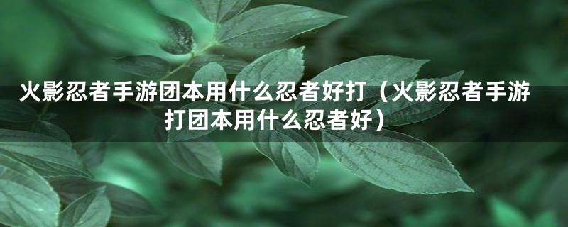 火影忍者手游团本用什么忍者好打（火影忍者手游打团本用什么忍者好）