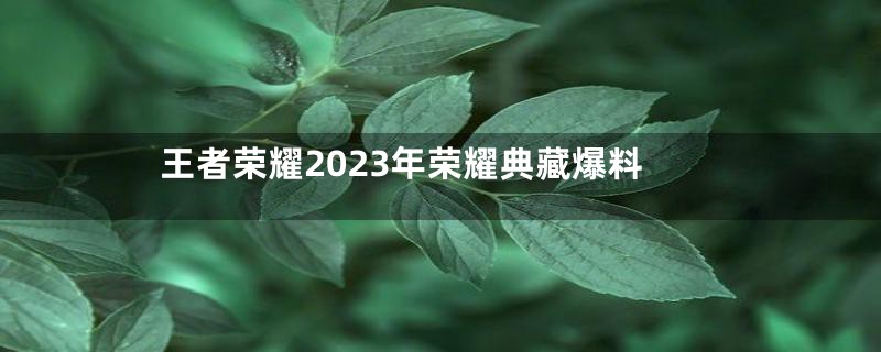 王者荣耀2023年荣耀典藏爆料