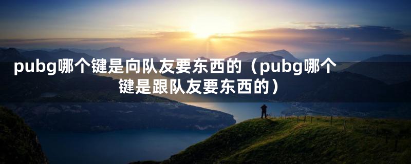 pubg哪个键是向队友要东西的（pubg哪个键是跟队友要东西的）