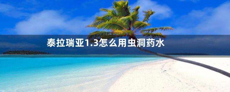 泰拉瑞亚1.3怎么用虫洞药水