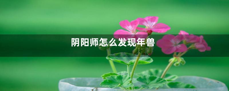 阴阳师怎么发现年兽