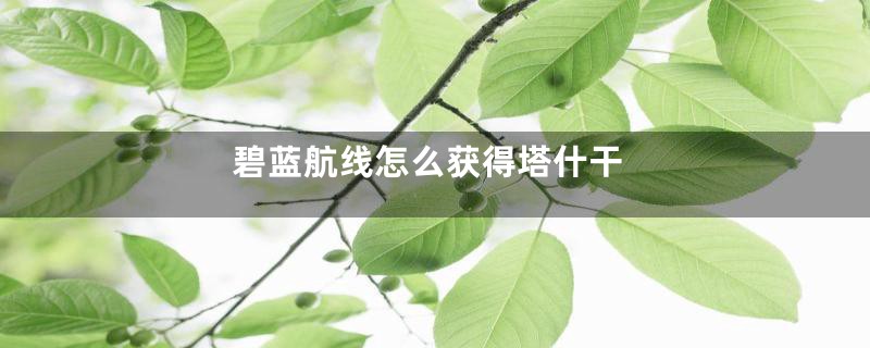 碧蓝航线怎么获得塔什干