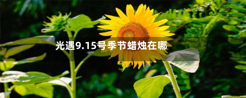 光遇9.15号季节蜡烛在哪