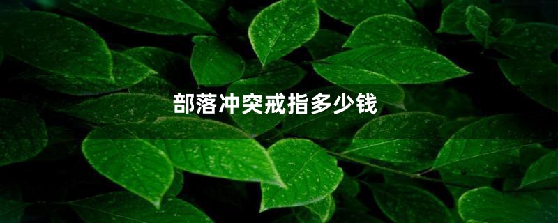 部落冲突戒指多少钱