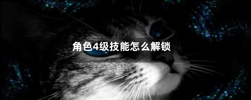 角色4级技能怎么解锁