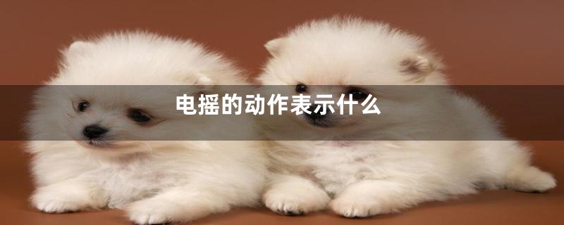 电摇的动作表示什么