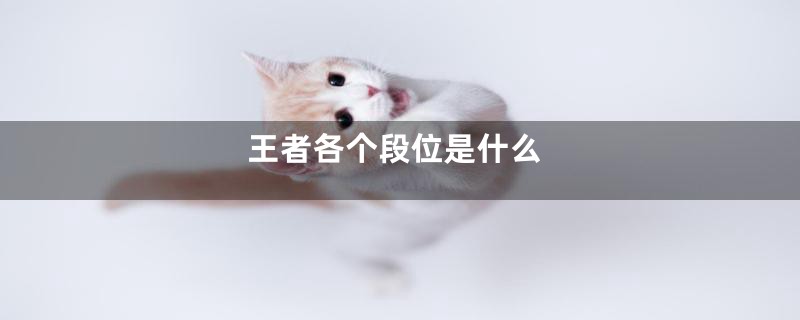 王者各个段位是什么