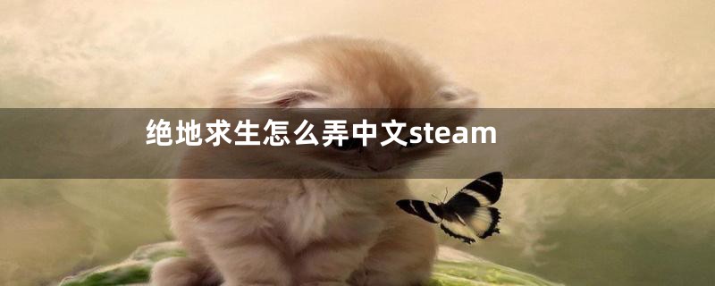 绝地求生怎么弄中文steam