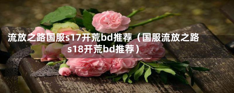 流放之路国服s17开荒bd推荐（国服流放之路s18开荒bd推荐）