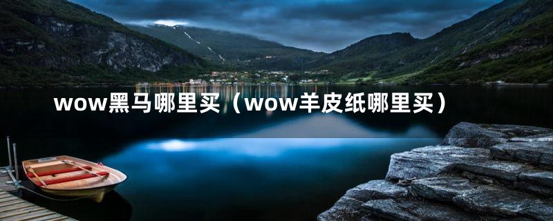 wow黑马哪里买（wow羊皮纸哪里买）