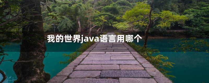 我的世界java语言用哪个