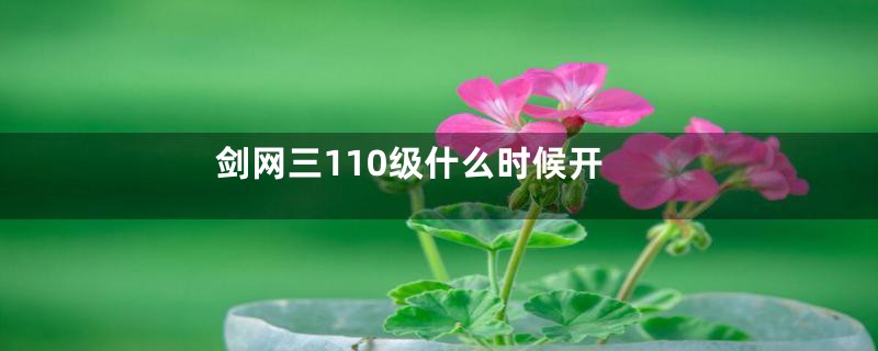 剑网三110级什么时候开