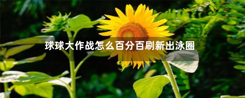 球球大作战怎么百分百刷新出泳圈