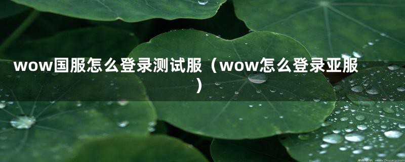 wow国服怎么登录测试服（wow怎么登录亚服）