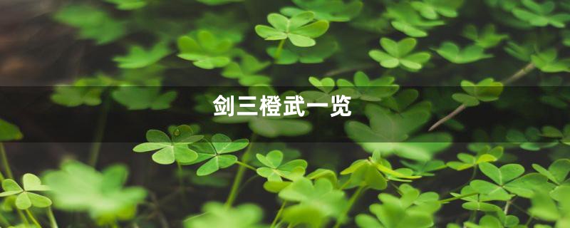 剑三橙武一览